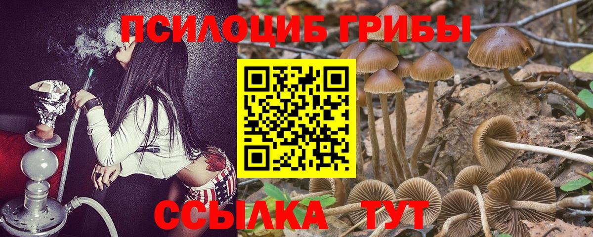 Псилоцибиновые грибы Psilocybine cubensis Феодосия