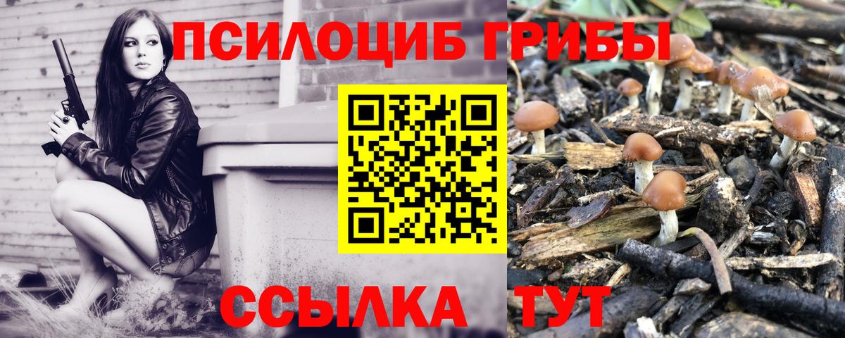 Галлюциногенные грибы GOLDEN TEACHER  Галлюциногенные грибы Magic Shrooms  Вход с VPN  Феодосия 